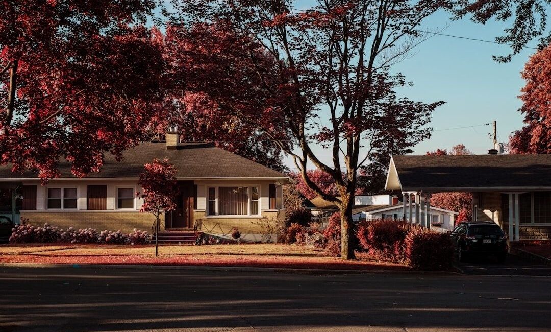 Mid-century suburban homes framed by vivid red autumn trees