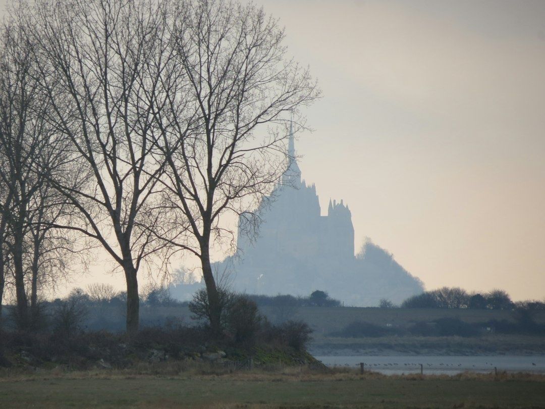 Mist-shrouded castle or manor rising beyond bare trees and wetlands